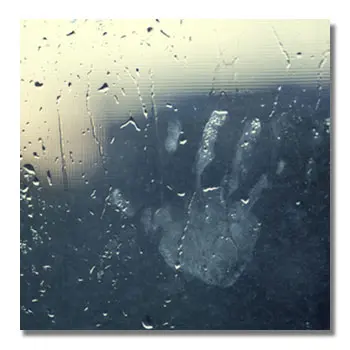 Streifenfreie Glasreinigung im Büro – CleanAlpin